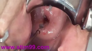 88 bizarre porn videos